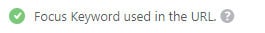 Focus Keyword in the URL (Primary Focus Keyword Only)